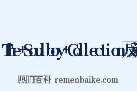 The+Soulboy+Collection反义词是什么意思的图片